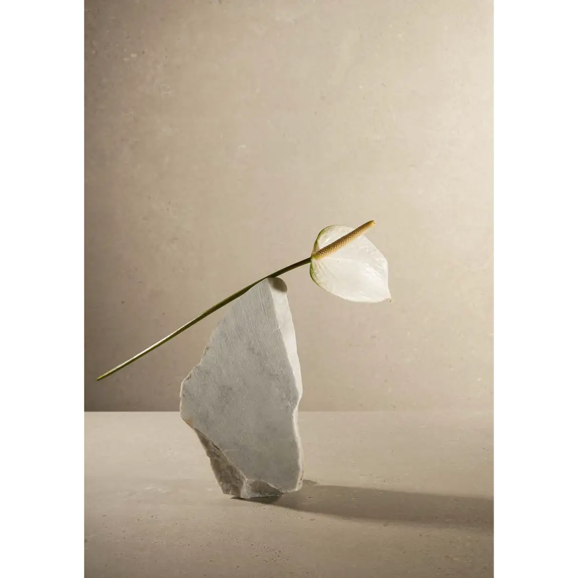 Imola Closer AV – Feinsteinzeug in moderner Steinoptik, verschiedene Formate